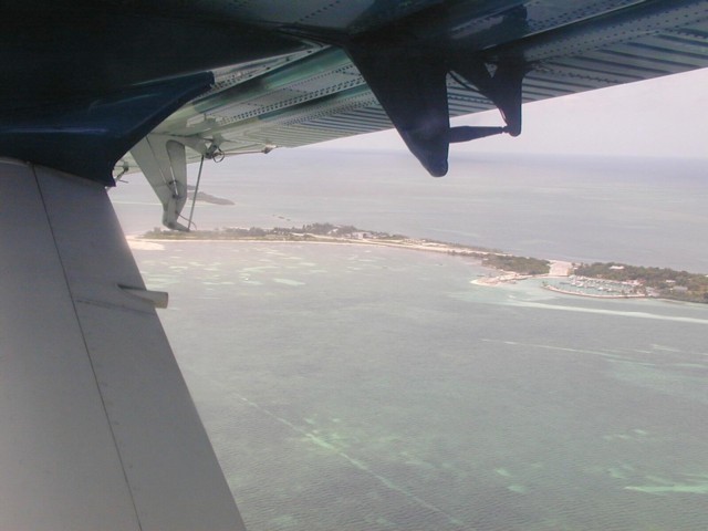 5900_45.jpg