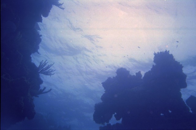 5938_04a.jpg