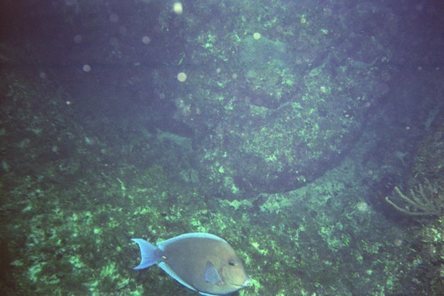 5938_07a.jpg
