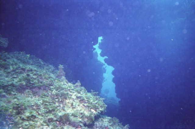 5938_08a.jpg