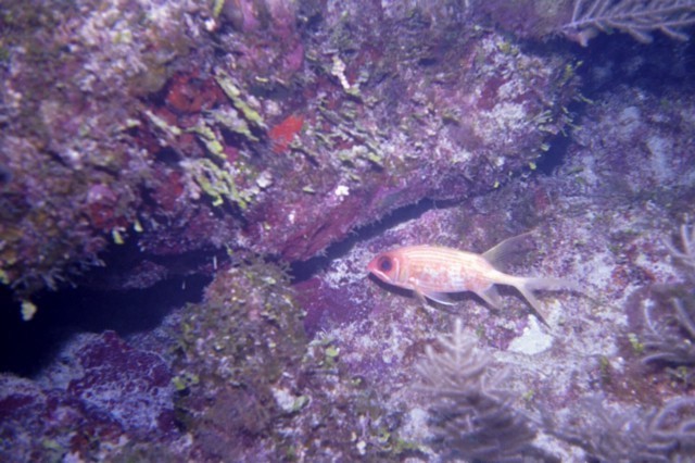 5938_09a.jpg