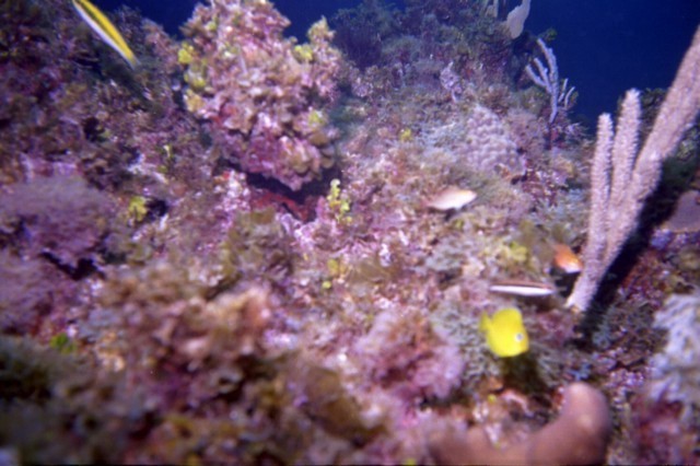 5938_19a.jpg