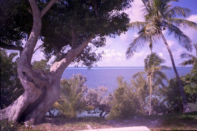 5938_22a.jpg