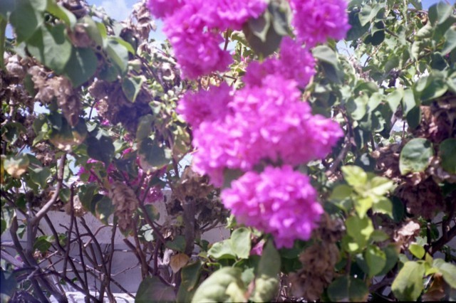 5938_24a.jpg