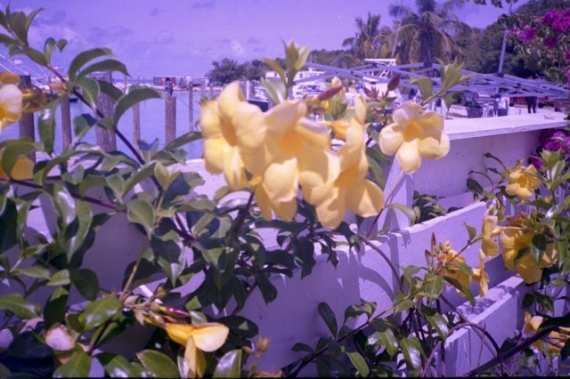 5938_25a.jpg