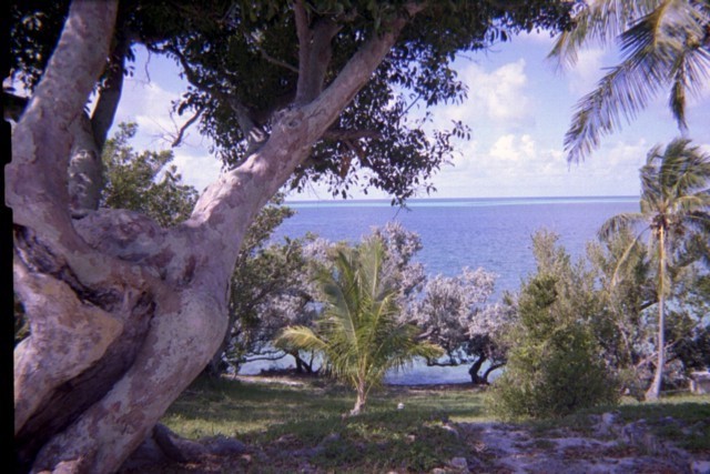 5939_04a.jpg