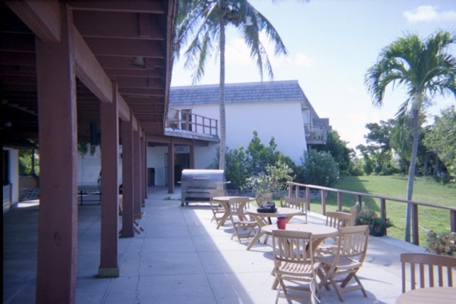 5939_06a.jpg