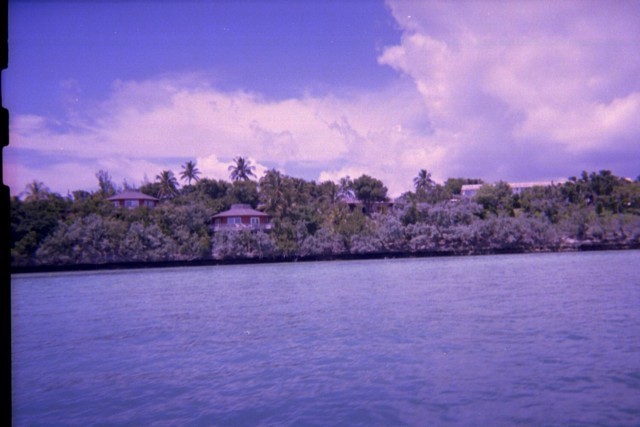 5939_11a.jpg