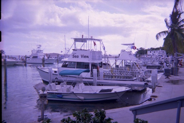 5939_16a.jpg