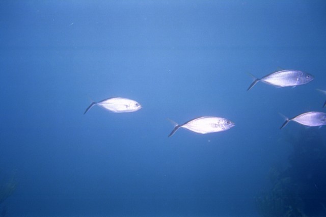 5940_01.jpg