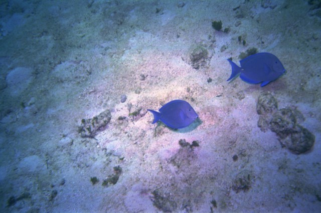 5940_03.jpg