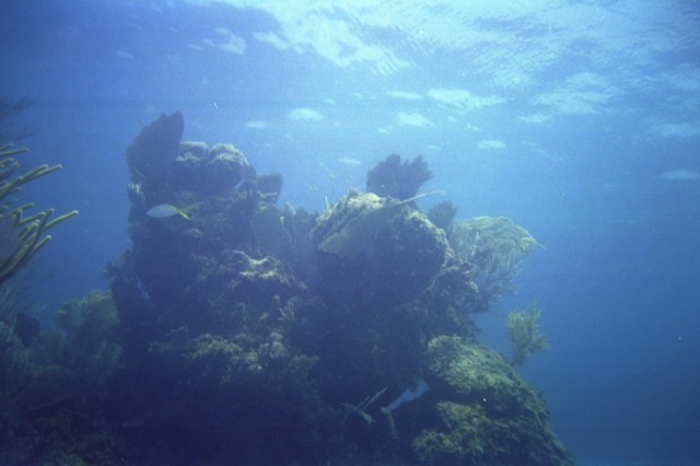 5940_04.jpg