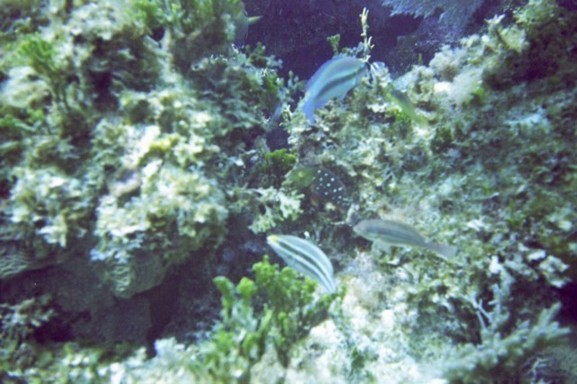 5940_05.jpg