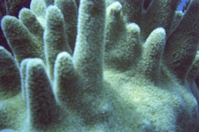 5940_07.jpg