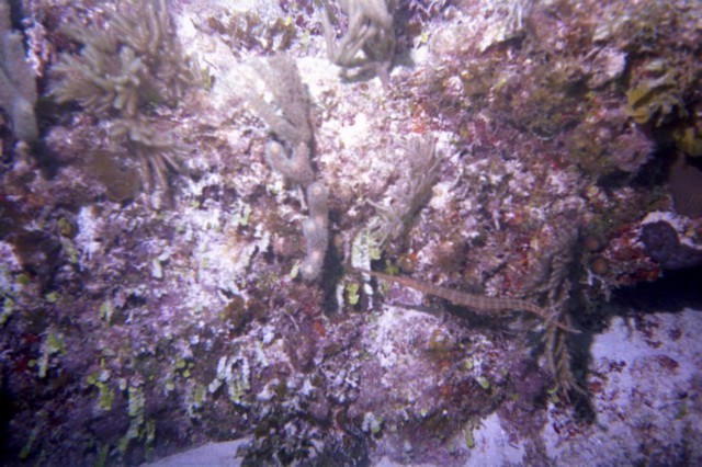 5940_09.jpg