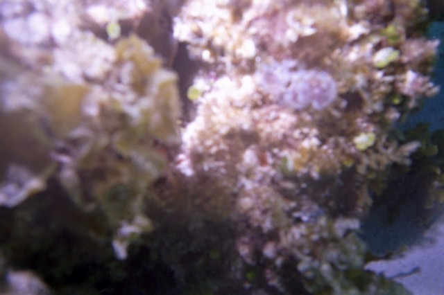 5940_10.jpg