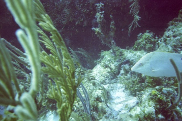 5940_11.jpg
