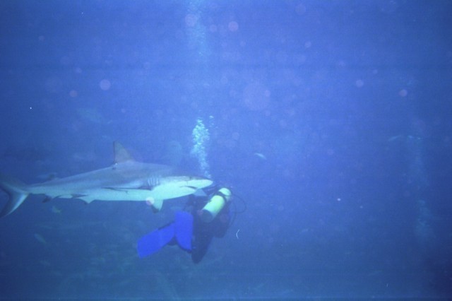 5940_16.jpg