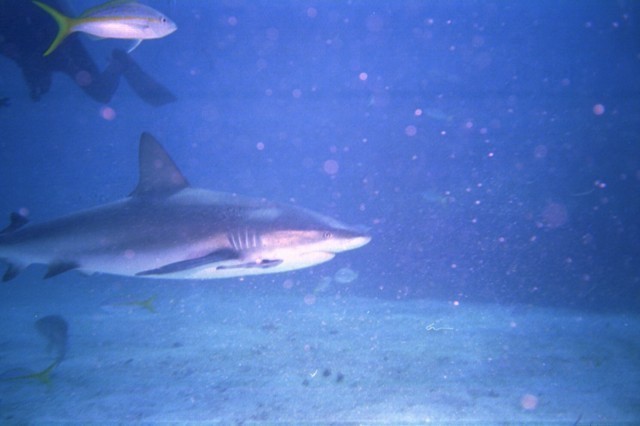 5940_20.jpg
