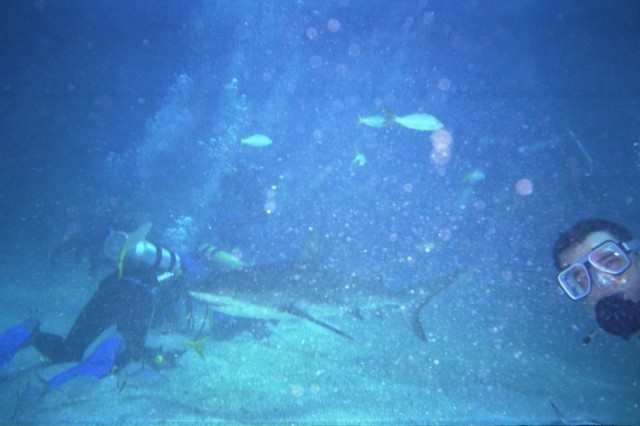 5940_21.jpg