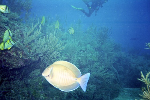 5941_0.jpg
