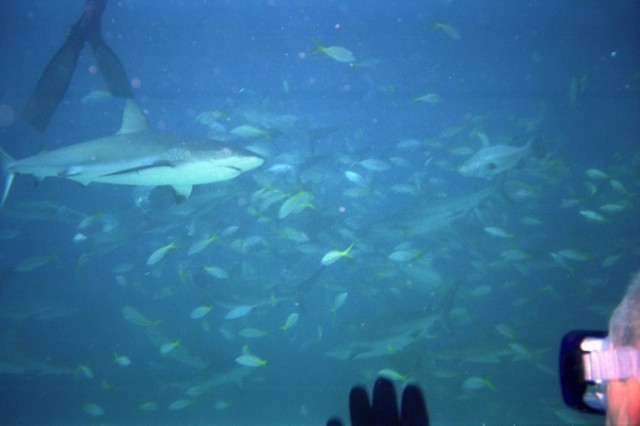 5941_04.jpg