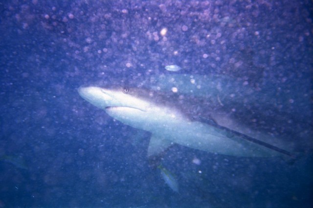 5941_07.jpg