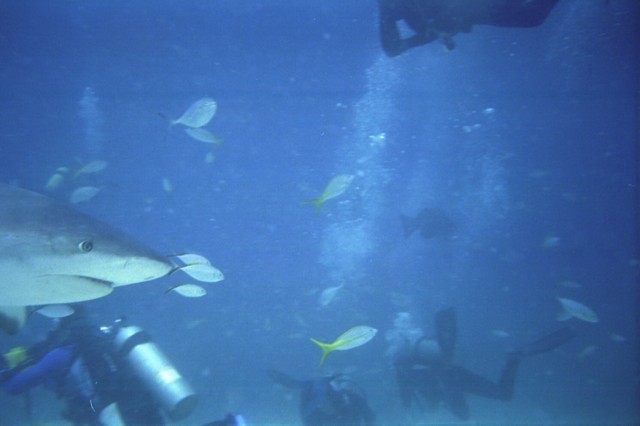 5941_10.jpg
