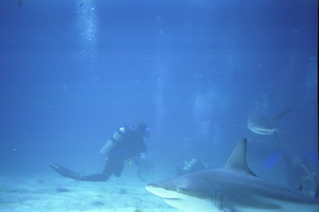5941_14.jpg
