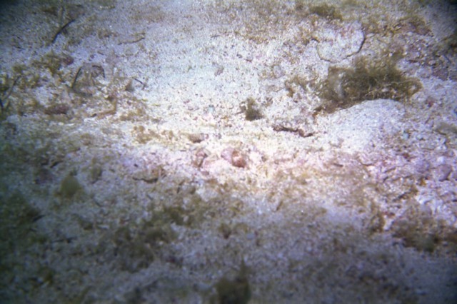 5942_08a.jpg