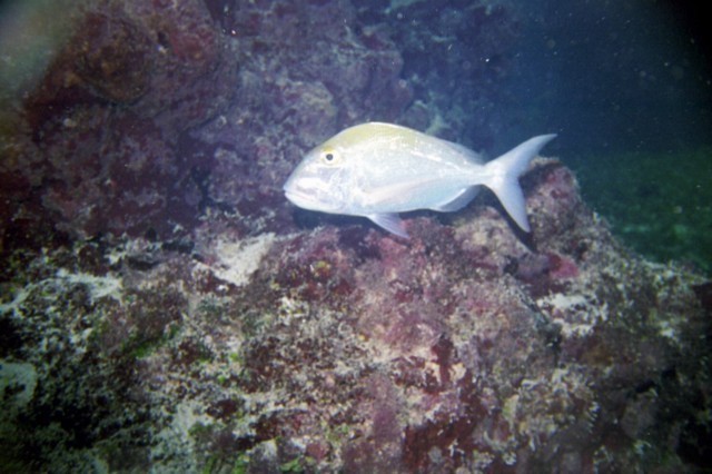 5942_10a.jpg