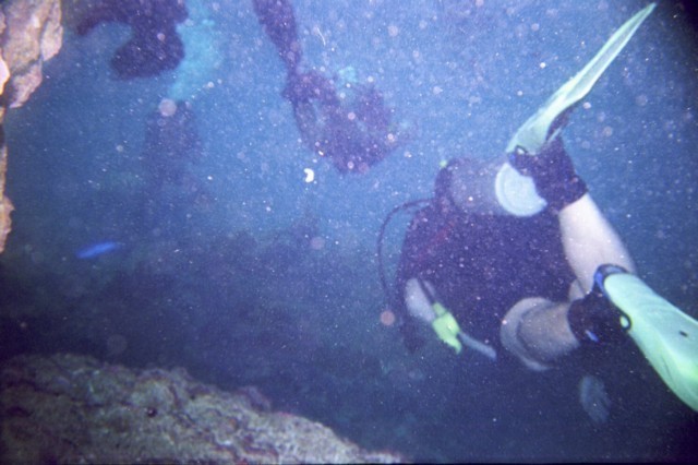 5942_12a.jpg