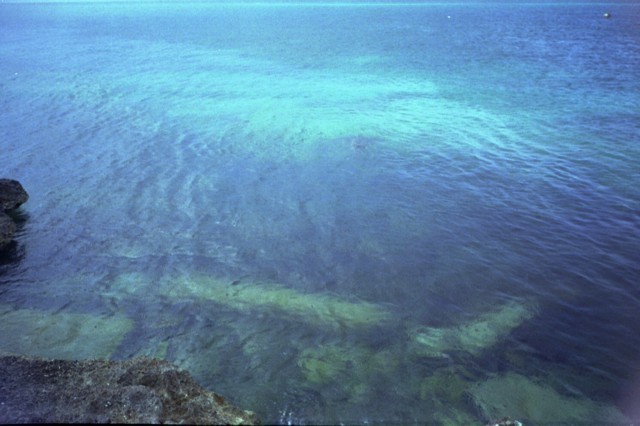 5942_17a.jpg