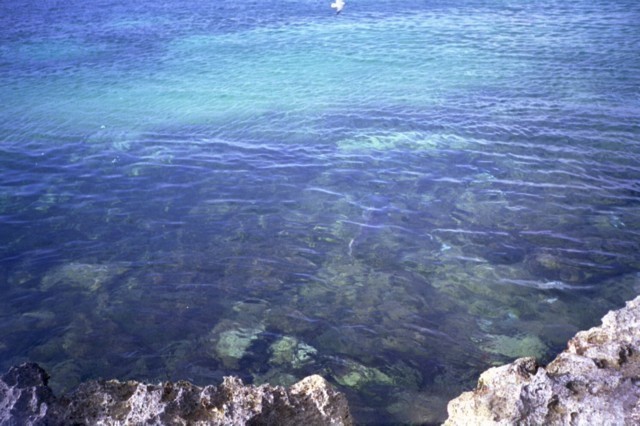5942_19a.jpg