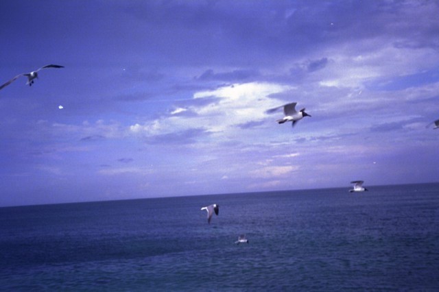 5942_20a.jpg