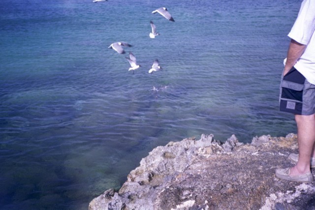 5942_22a.jpg