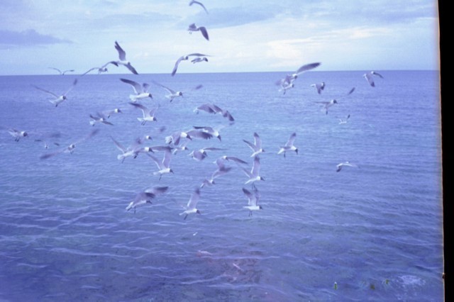 5942_25a.jpg