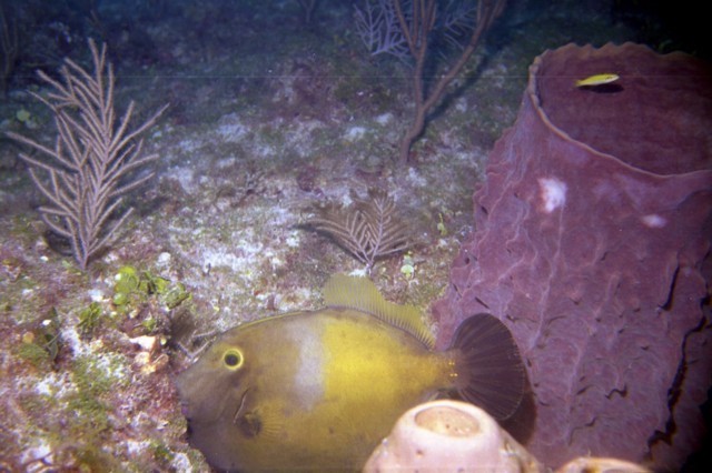 5943_11a.jpg