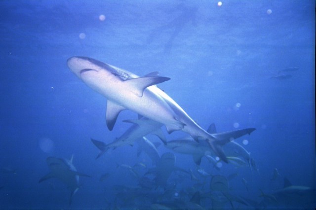 5943_23a.jpg