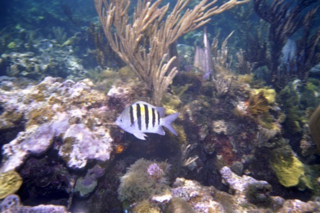 5944_03a.jpg