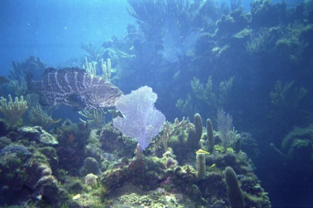 5944_04a.jpg