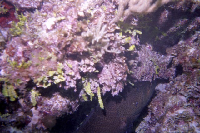 5944_05a.jpg