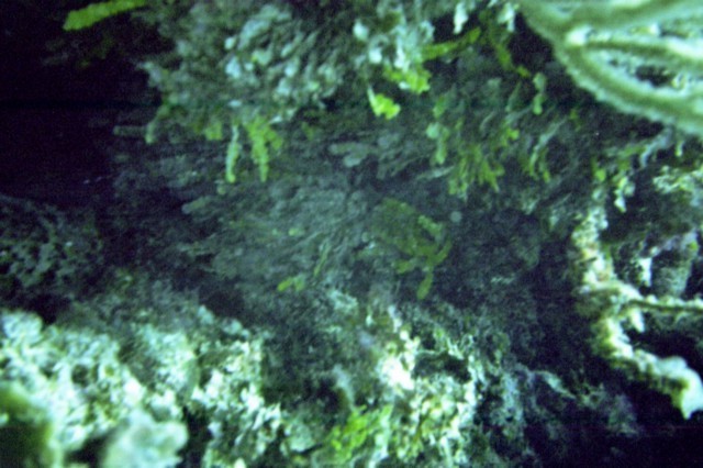 5944_06a.jpg