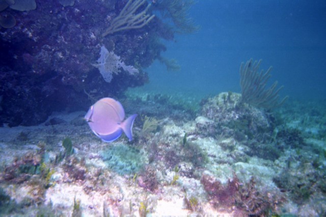 5944_08a.jpg