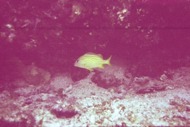 5944_09a.jpg