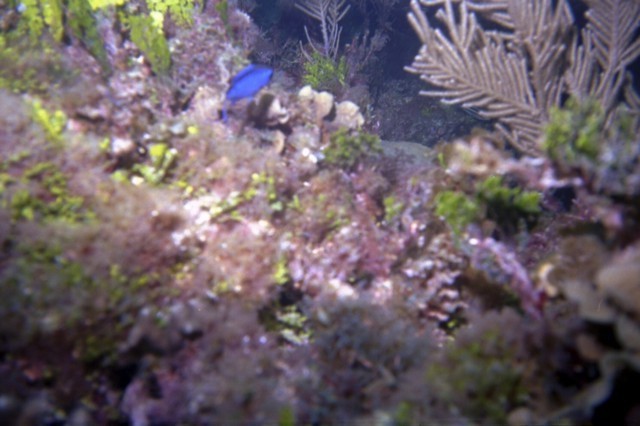 5944_10a.jpg