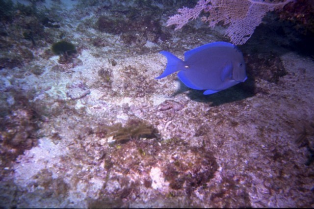 5944_12a.jpg