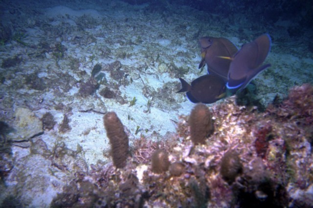 5944_13a.jpg
