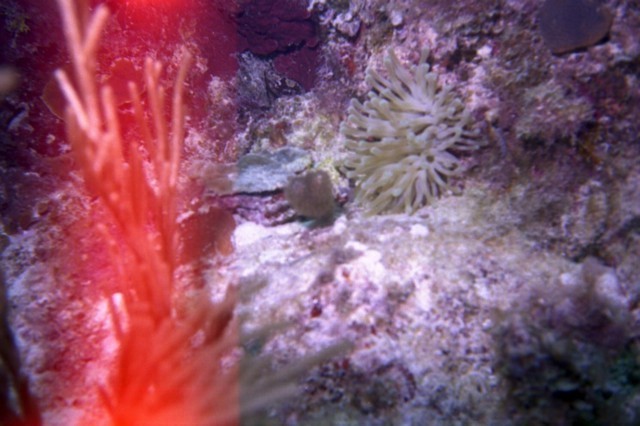 5944_18a.jpg