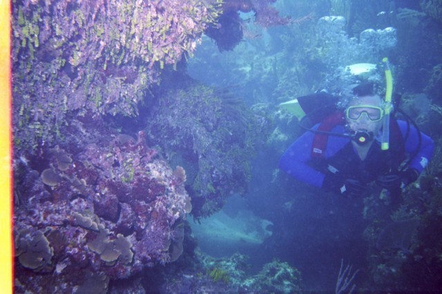 5944_20a.jpg